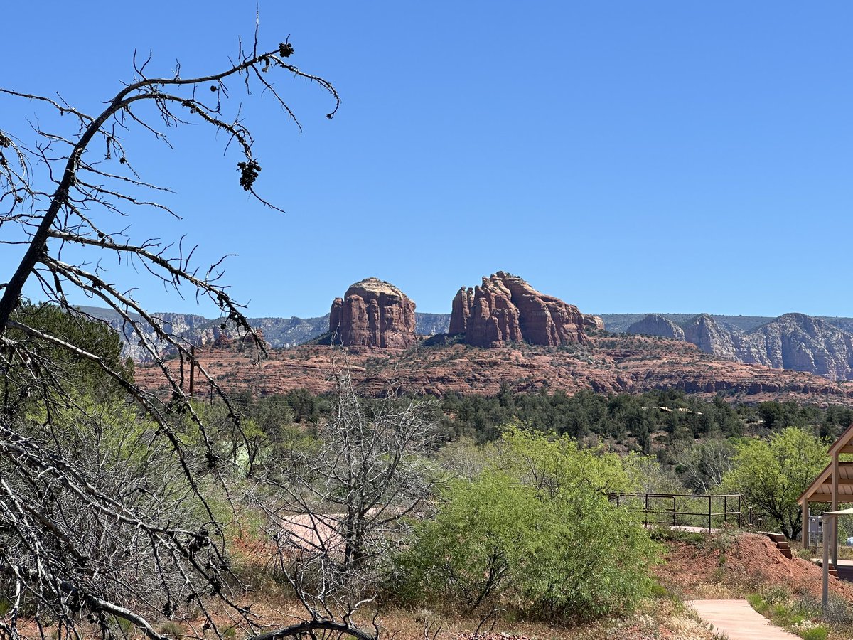 Luke Young tweet media