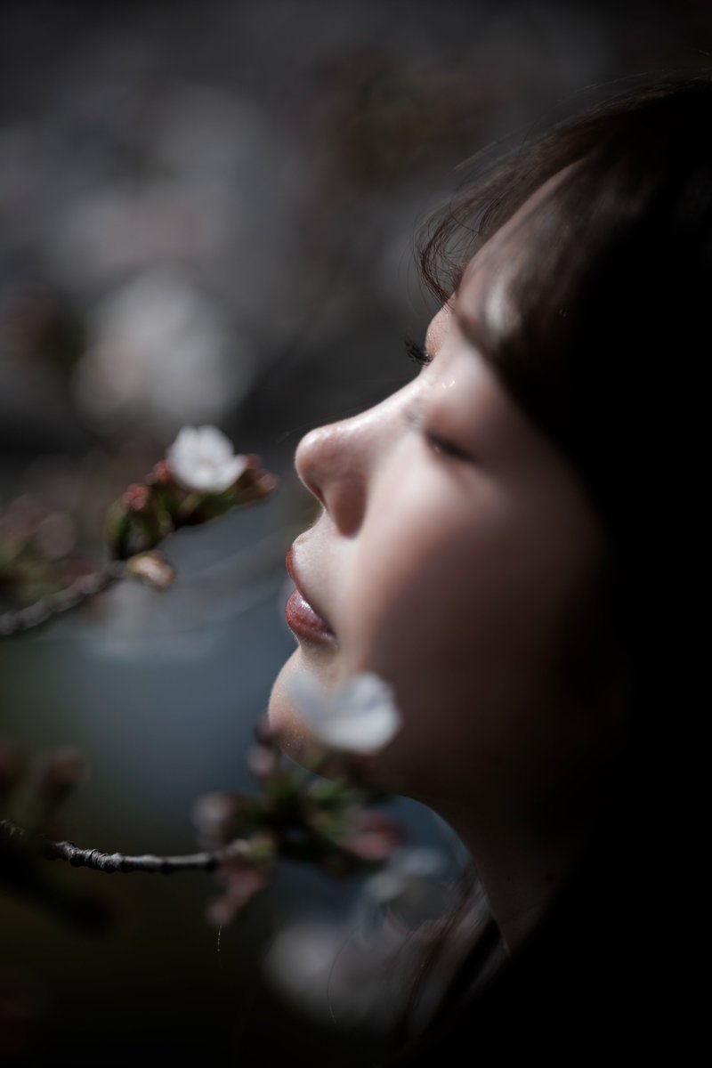 SiraSaki tweet media