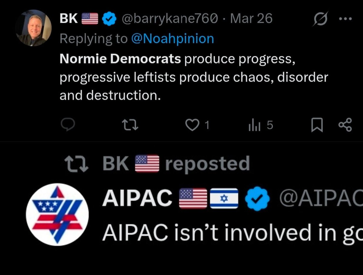 gato fumador tweet media