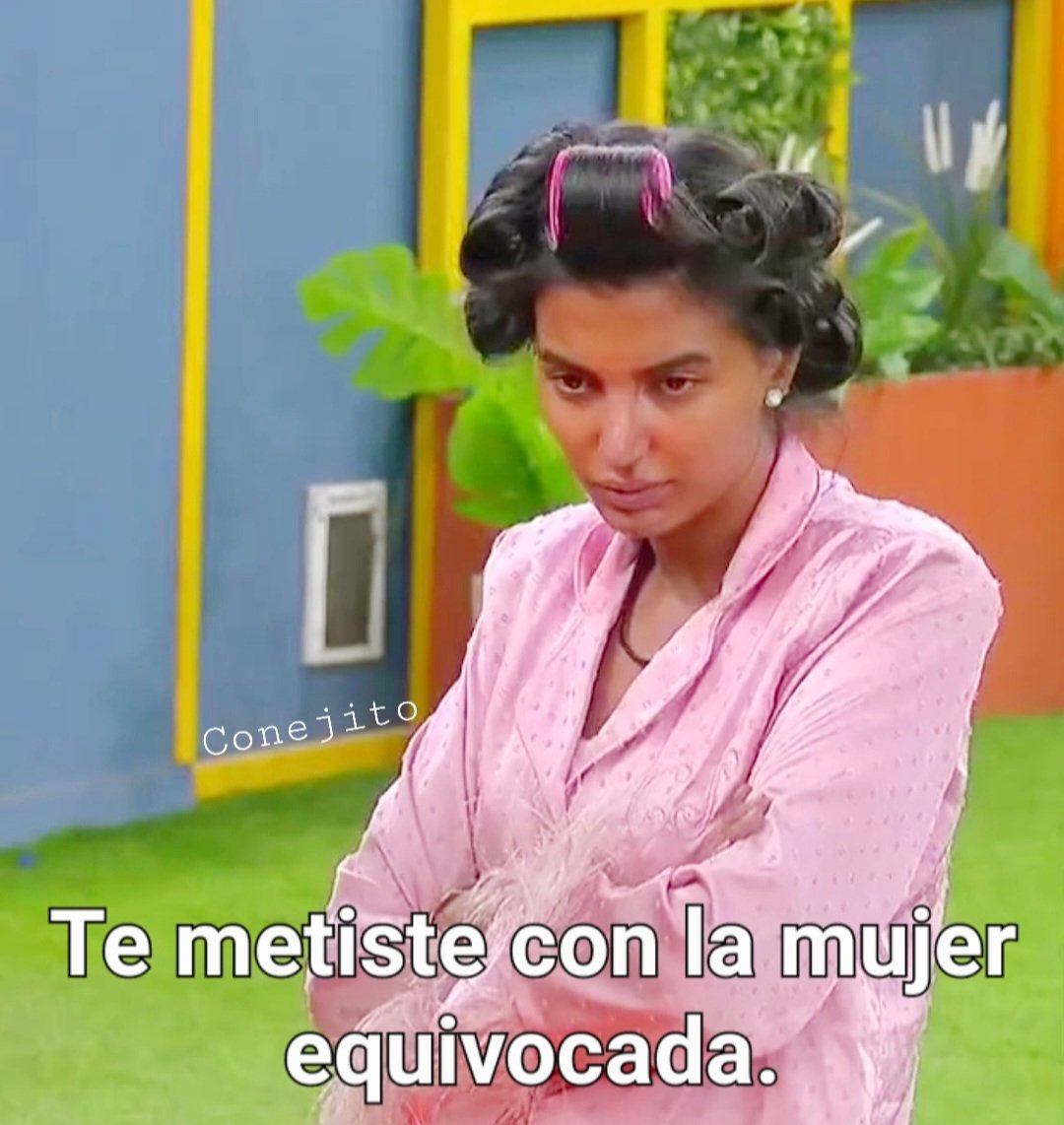 CONEJITO tweet media