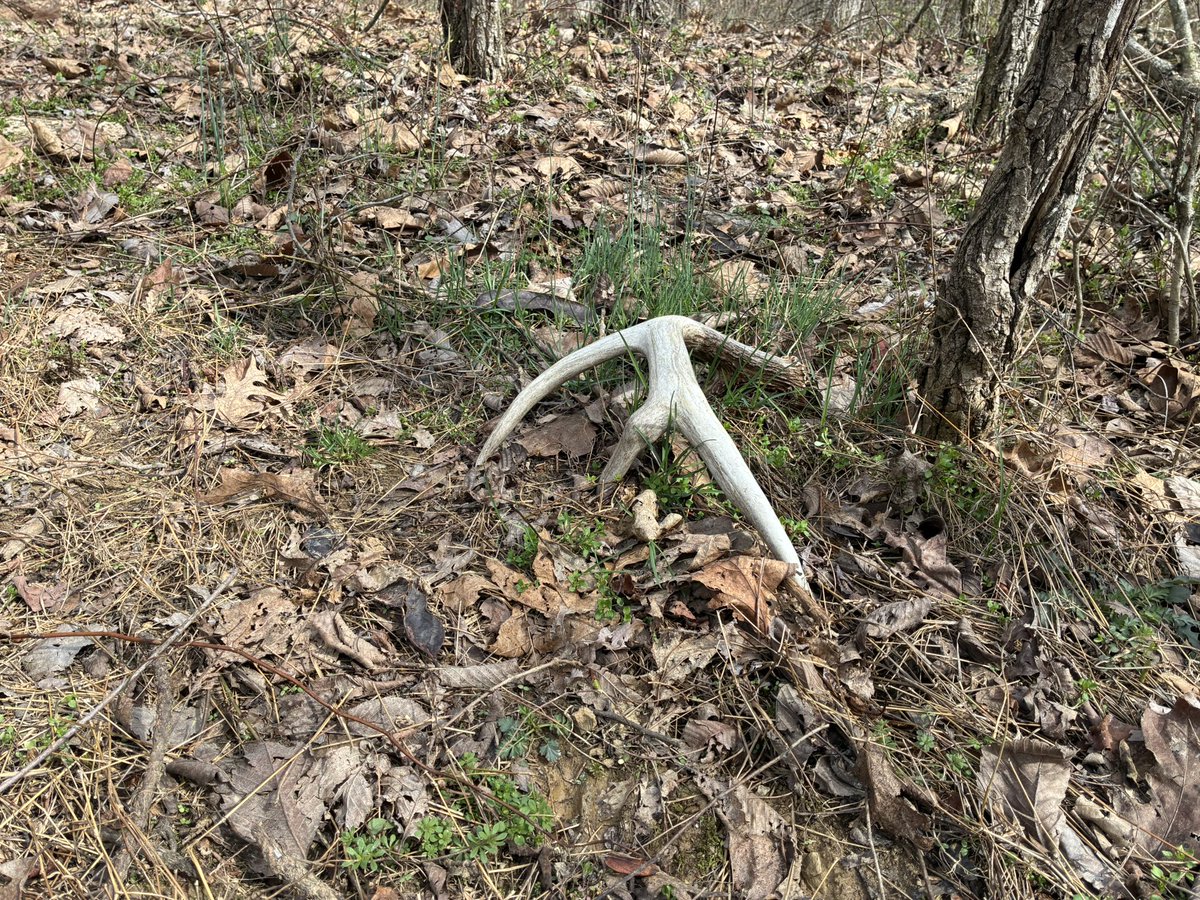 Dwayne Mathews tweet media