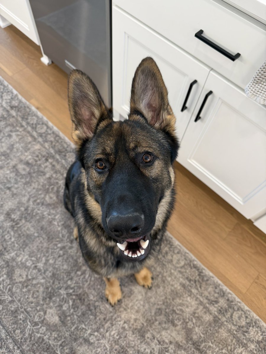 Gunther Eagleman™ tweet media