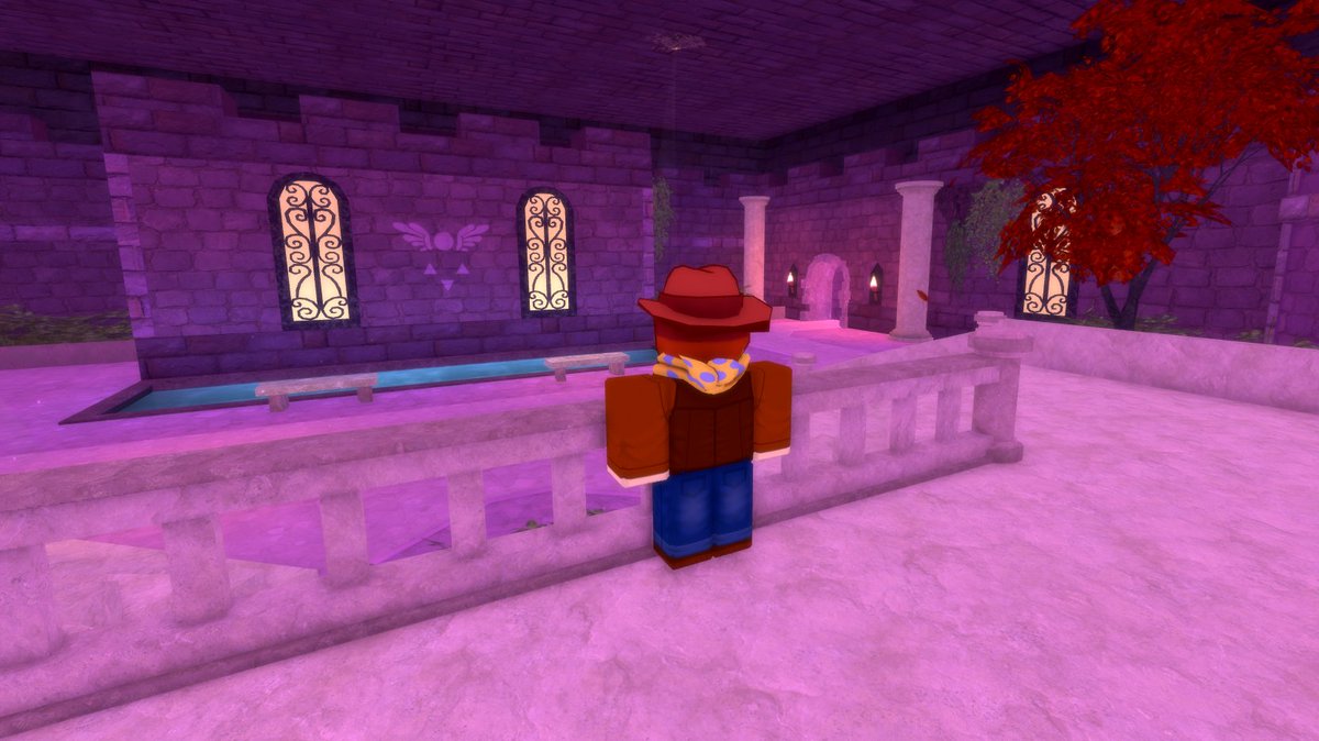 Tem in a Cowboy Hat tweet media