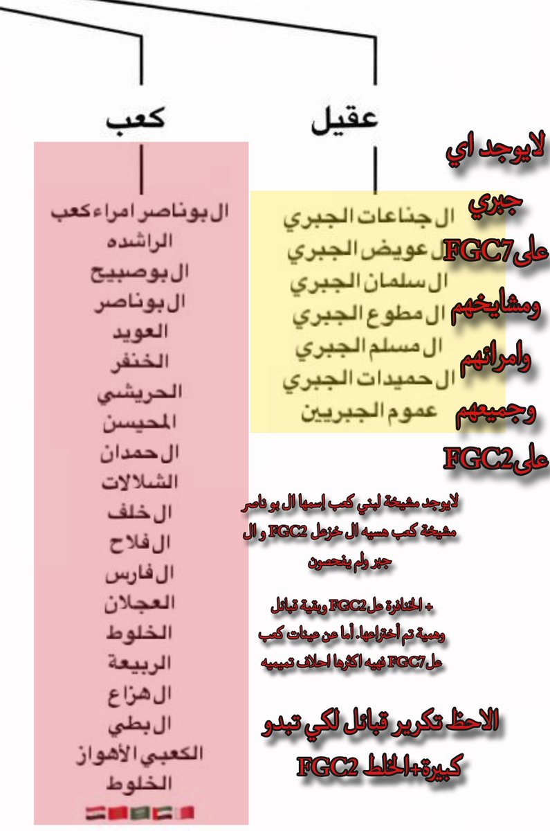 نعقب على مشجرتة
النتيجة:باطلة مزيفة مزورة مدلسة🚫🤥
لا تكررها افضل مما افضحك اكثر واكثر👌🏻 
#fgc2 #fgc7
