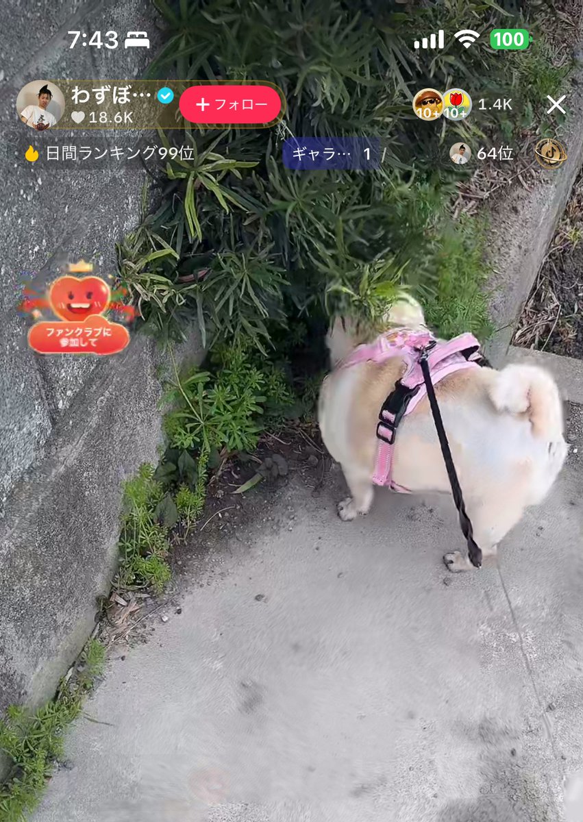 ま あ ㄜ ㄘ ゃ ん tweet media