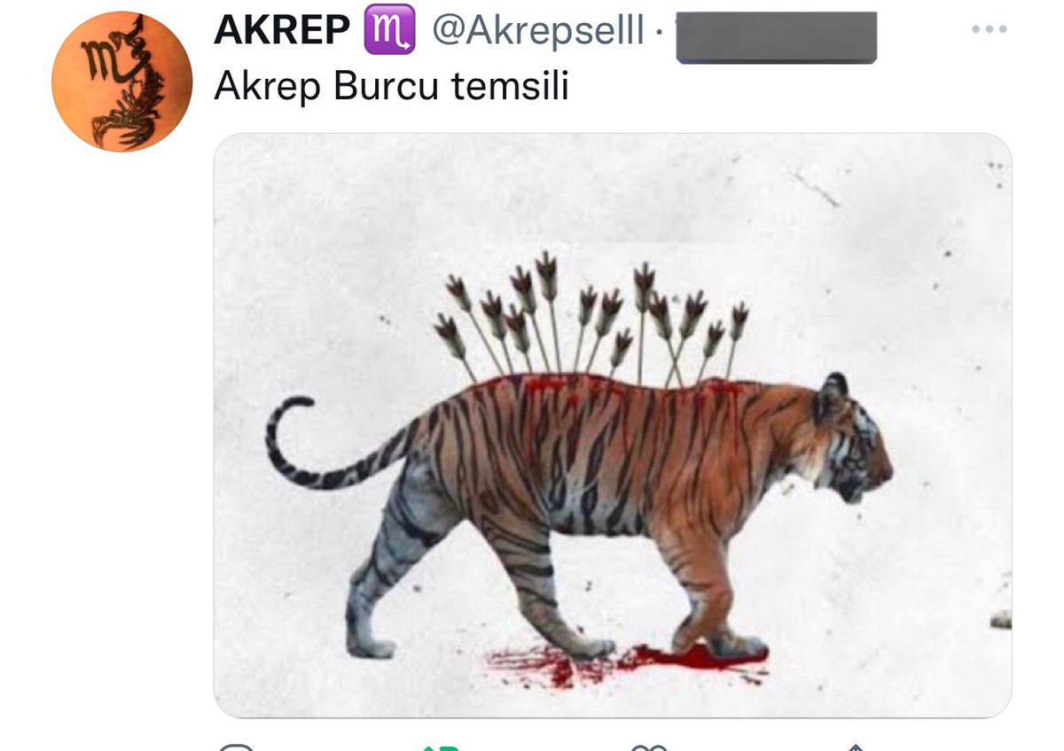 OrhanKarasoglu's tweet photo. Ölüm bile kaçacak delik arar… https://t.co/Jv76ImpAqj
