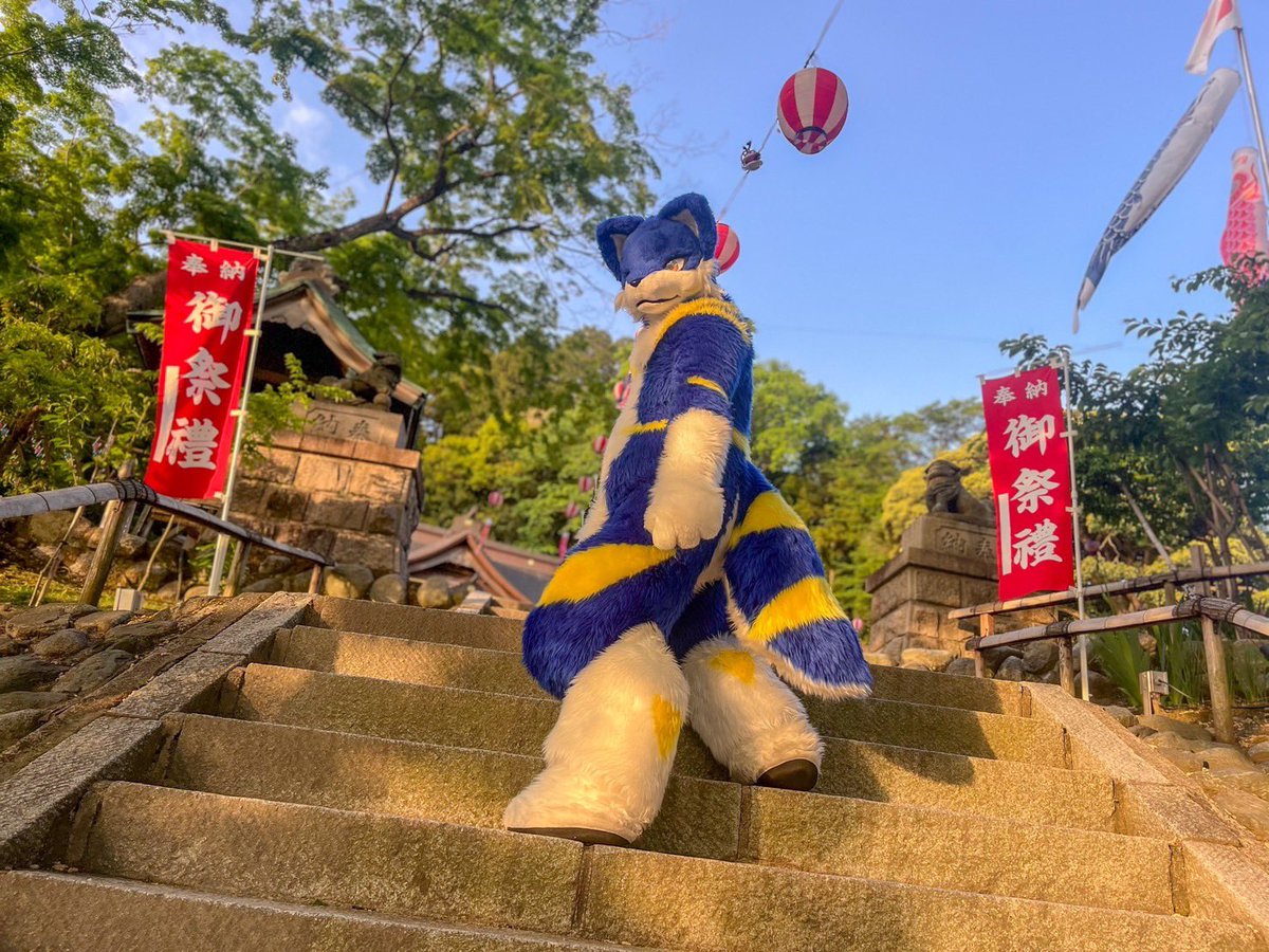 獣狼つっちー tweet media