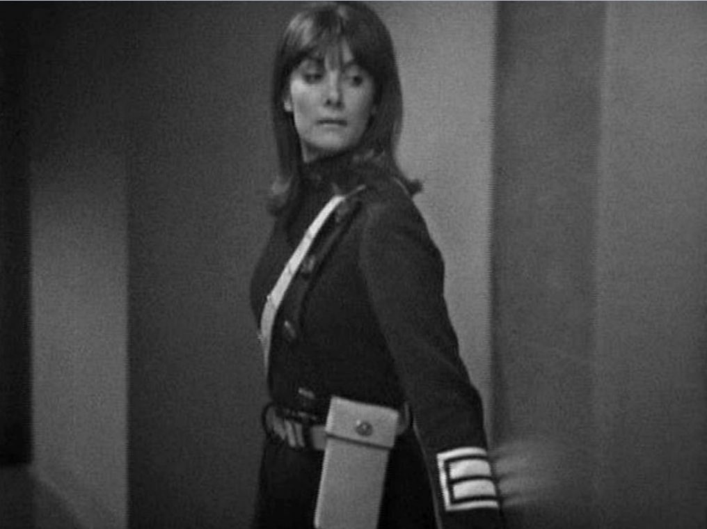 scarfpower 🏳️⚧️ tweet media