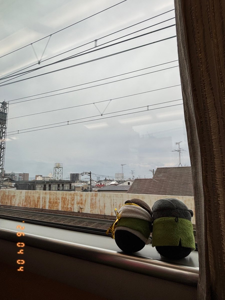 かっか🟢🟢BOOTH頒布中 tweet media