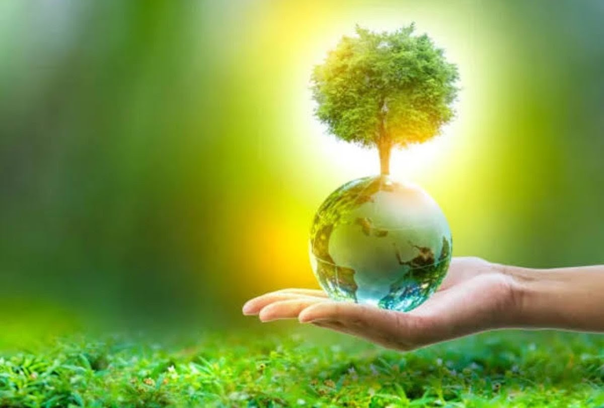 Peter Clack tweet media