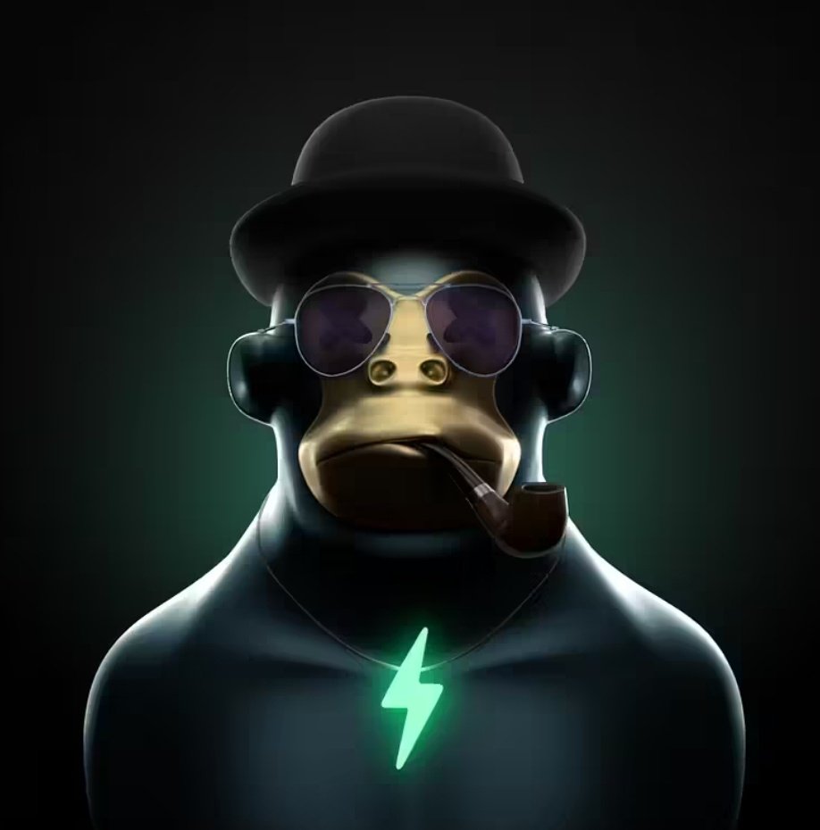 Wombatandfrog tweet media