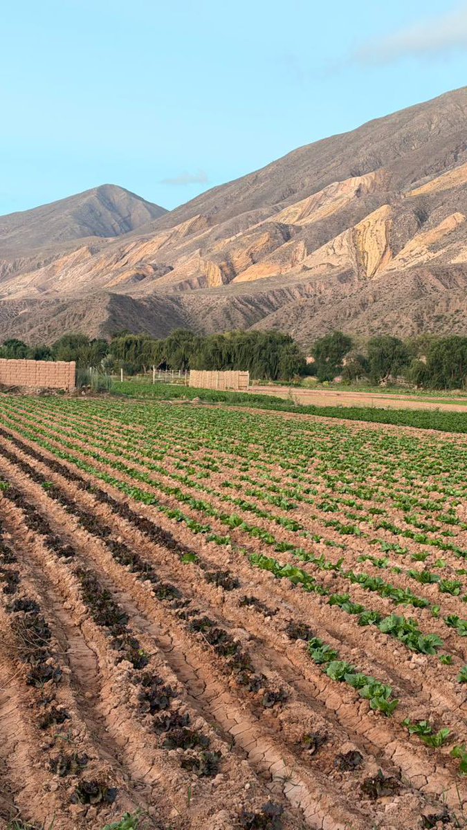 Luz Tito Update tweet media