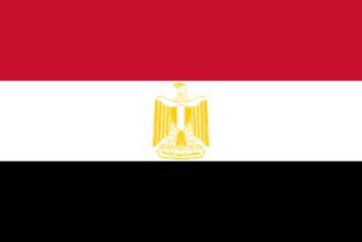 علياء 🇲🇦 tweet media