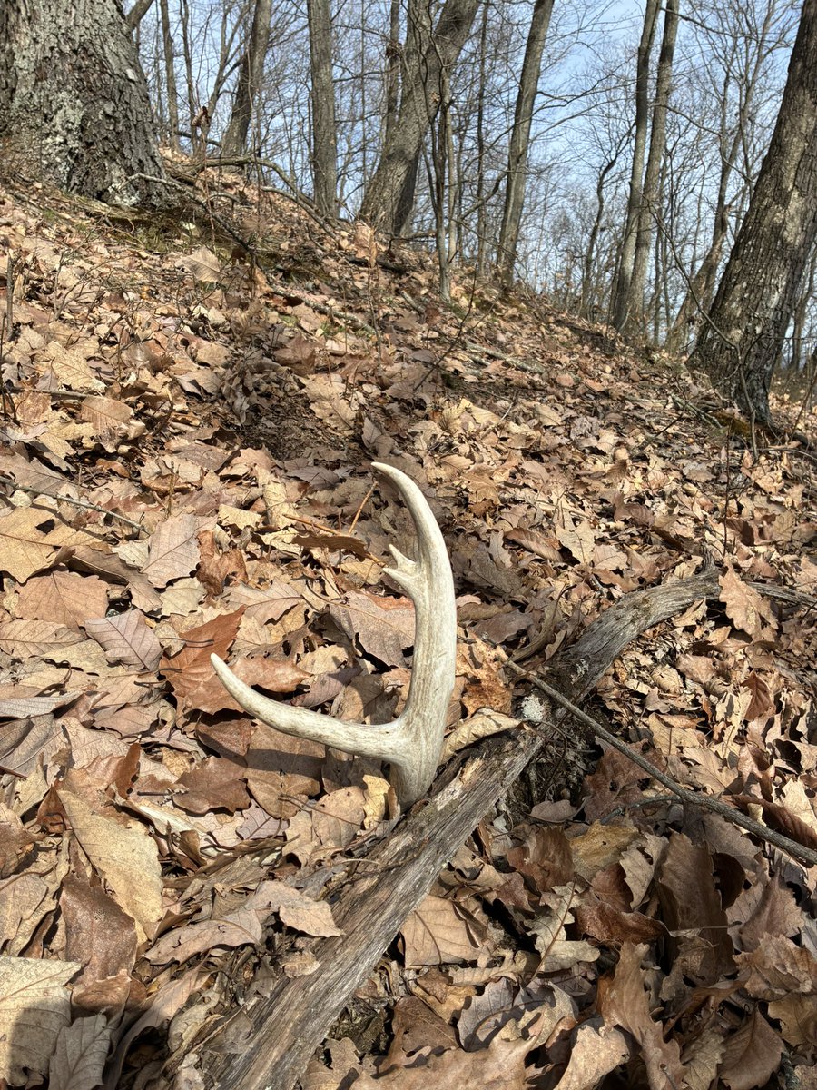 Dwayne Mathews tweet media