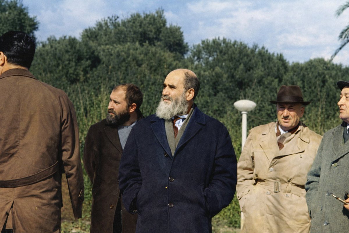 علي هاشم 313 tweet media