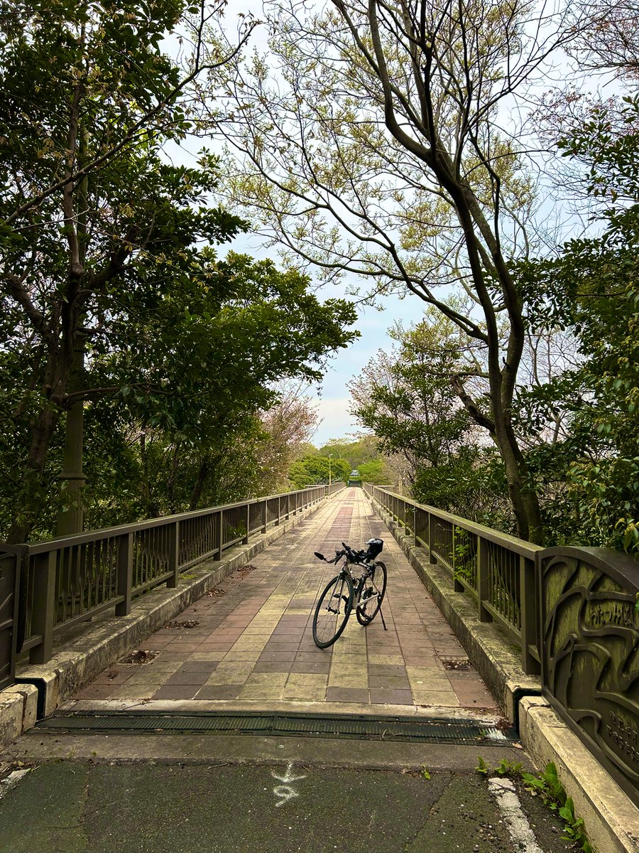 ろく@GT🫛 tweet media