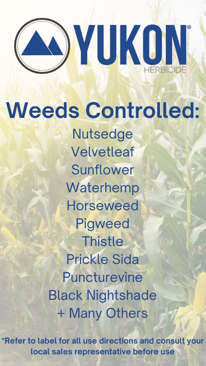 Dean Wanner tweet media