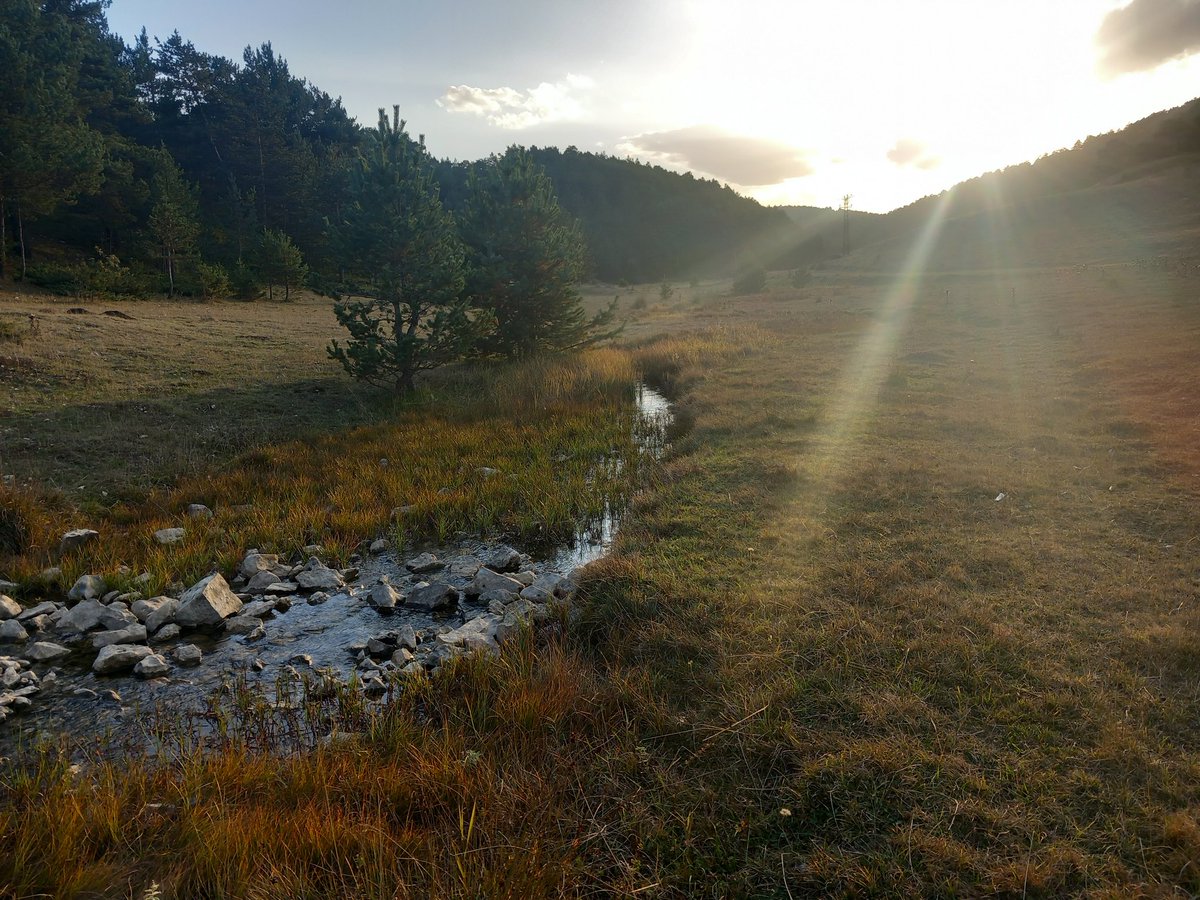 semakdnz ☀️ tweet media