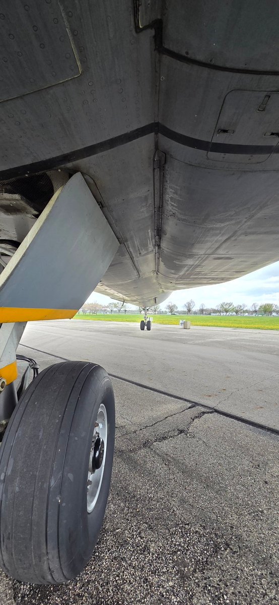 🌪☈ix Sheppy⛈️ tweet media