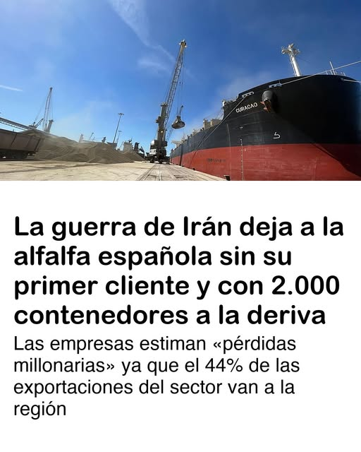 PEPE, en Español . INVICTUS MANEO.🇪🇸 🇮🇱 tweet media