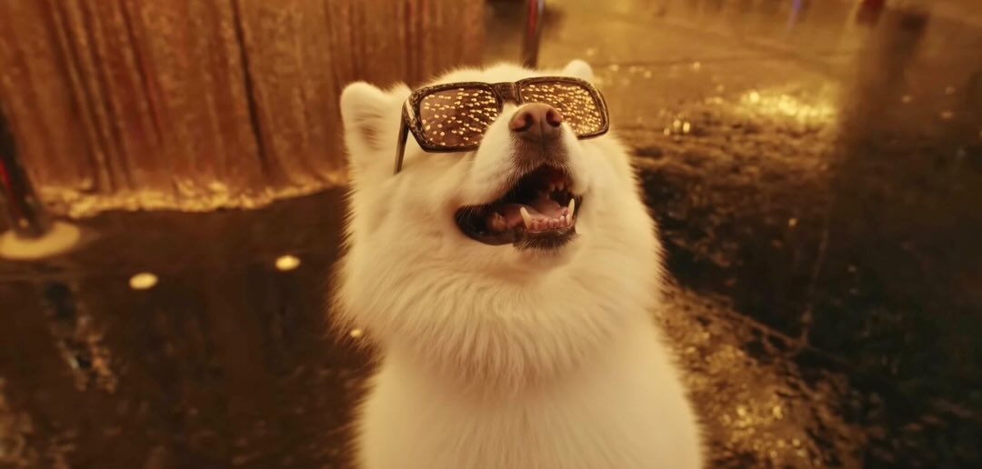 TrenchLover tweet media