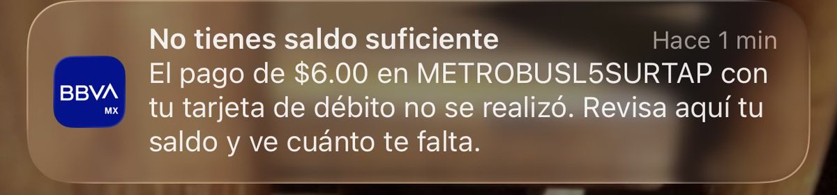 ivanesece tweet media