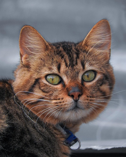 Erika Baxter tweet media