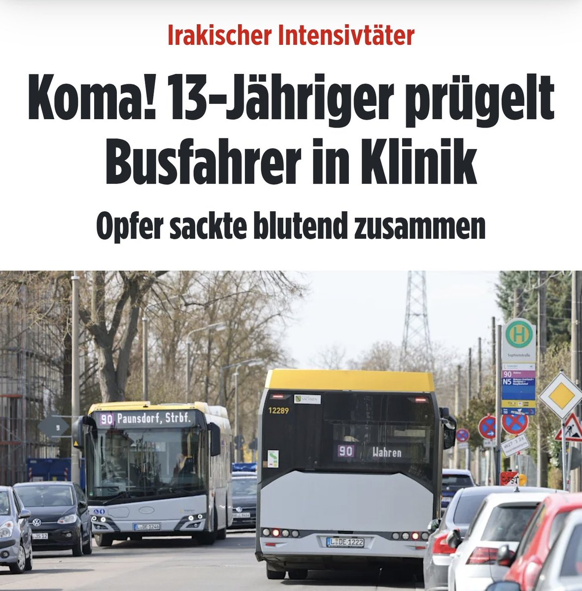 🇩🇪LilitThyra🩶 tweet media