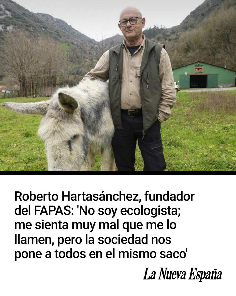 Pablo Perez tweet media