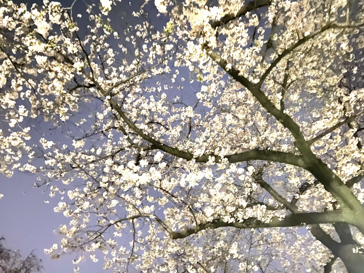 上村聡 tweet media