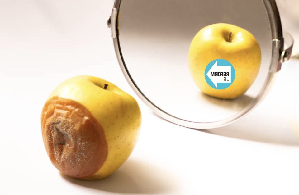 Griffin Historical 🇪🇺🦦🦥 tweet media