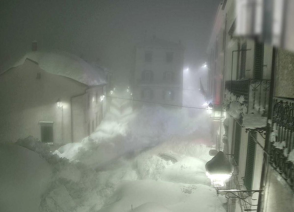 nurie deniz memoglu tweet media