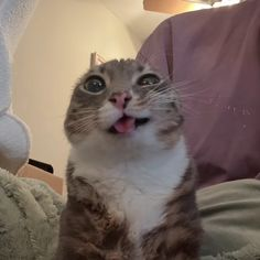 ✨ charlie ✨ tweet media