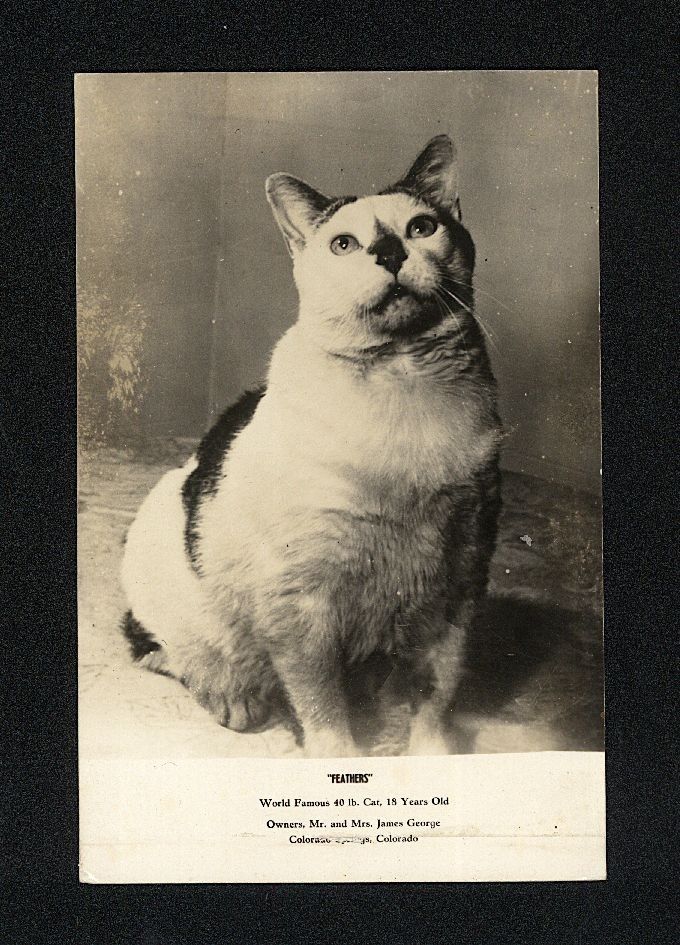 AMOR VENCE ODIO tweet media