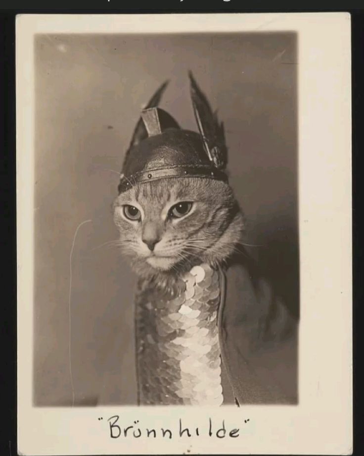 AMOR VENCE ODIO tweet media