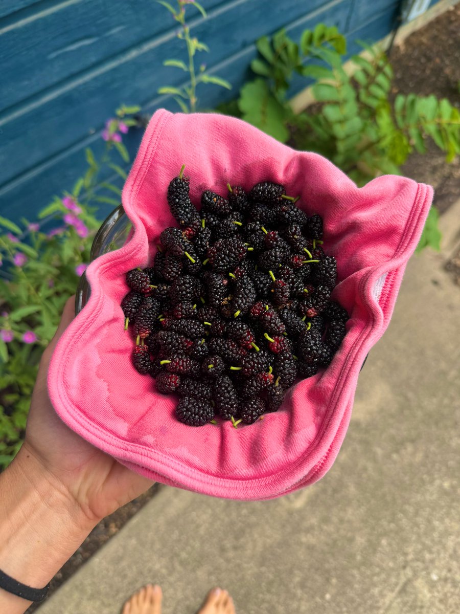 Basic Human Stuff tweet media