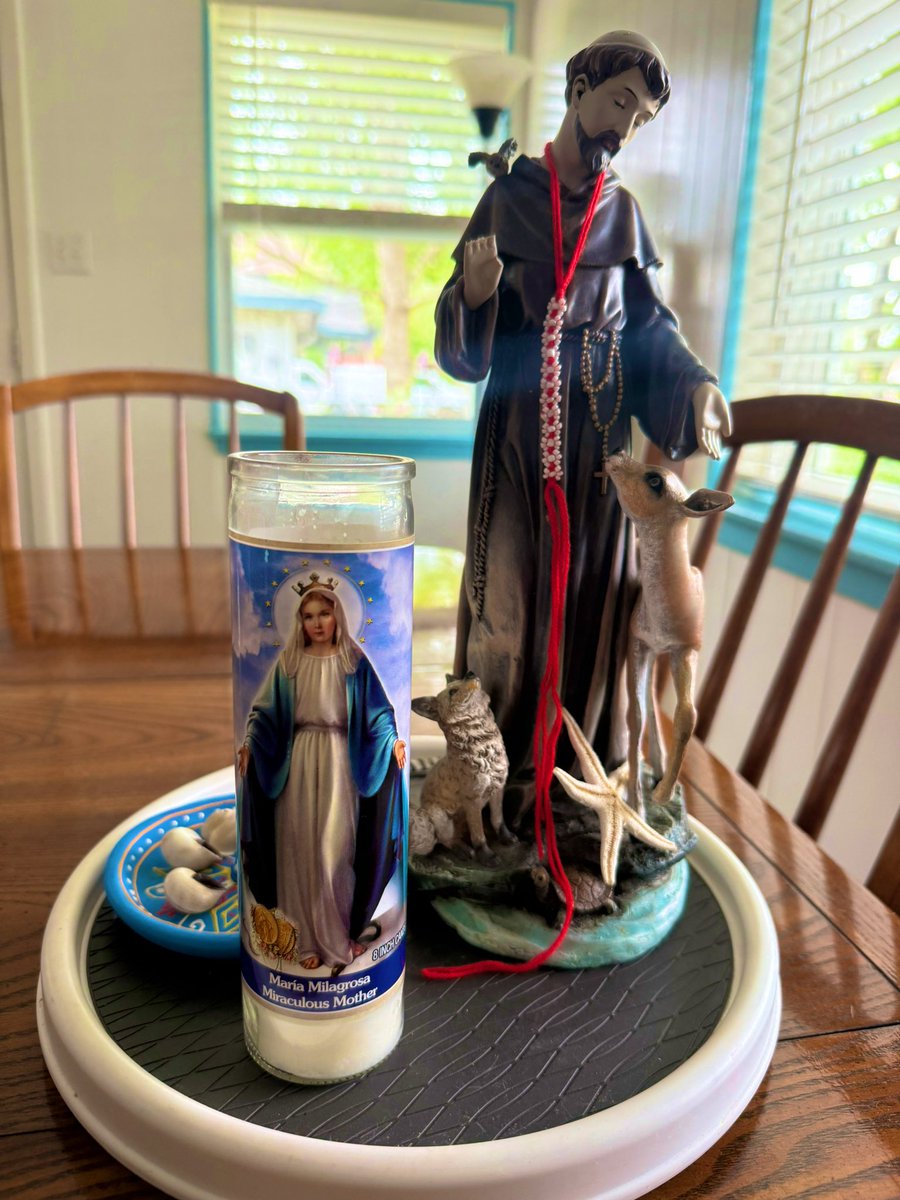 Basic Human Stuff tweet media