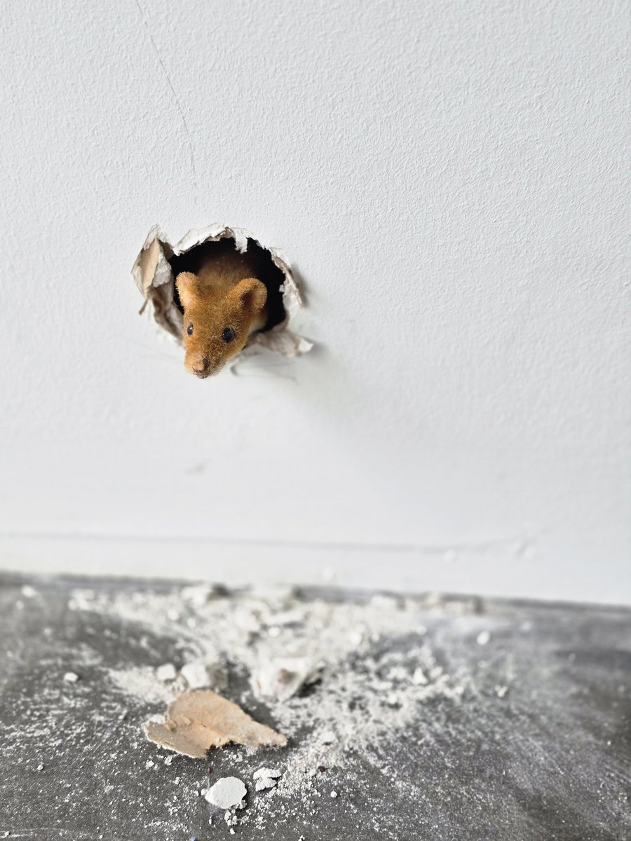 the human sadiepede 2 tweet media