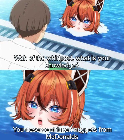 Toga🚀 tweet media