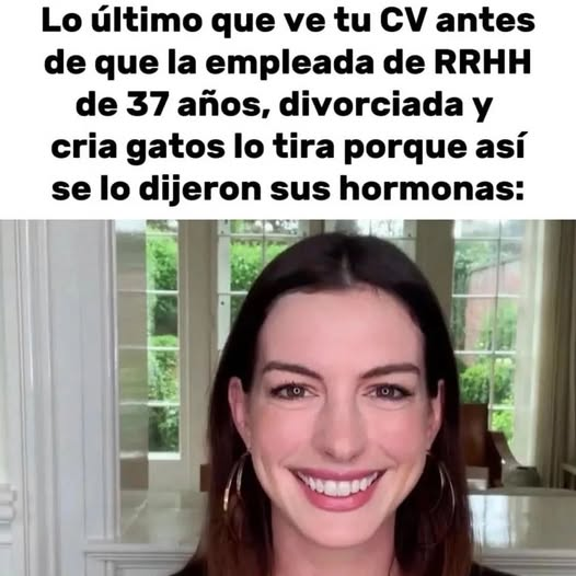 Lorem Ipsum tweet media