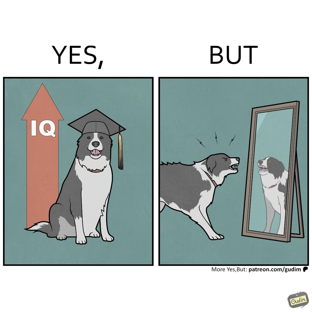 Yes, But tweet media