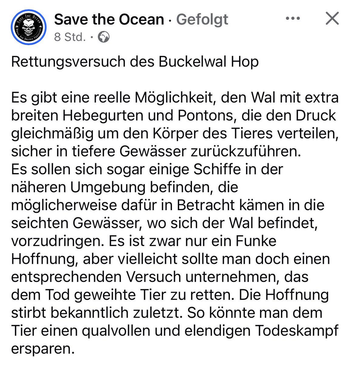 Chiara_Fa tweet media