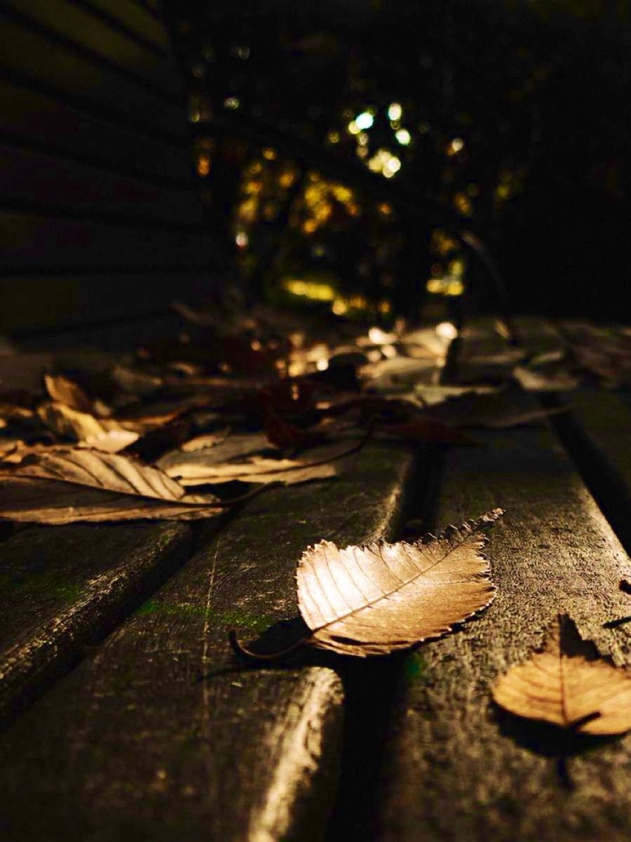 "Allah does not burden a soul beyond that it can bear."

Al-Quran~ 2:286