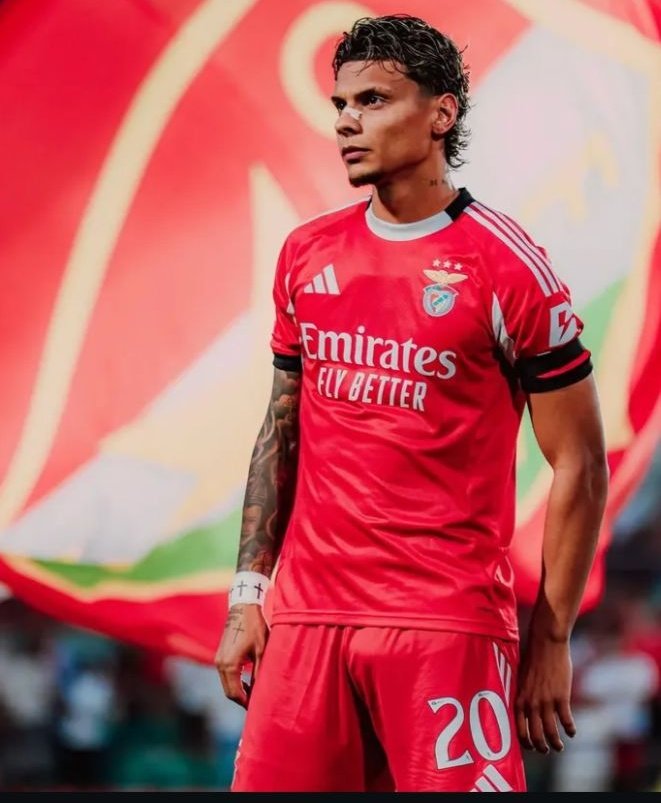 Mari odeia o abel tweet media