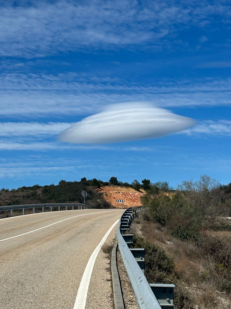 Matthijs de Vries 🧢 tweet media