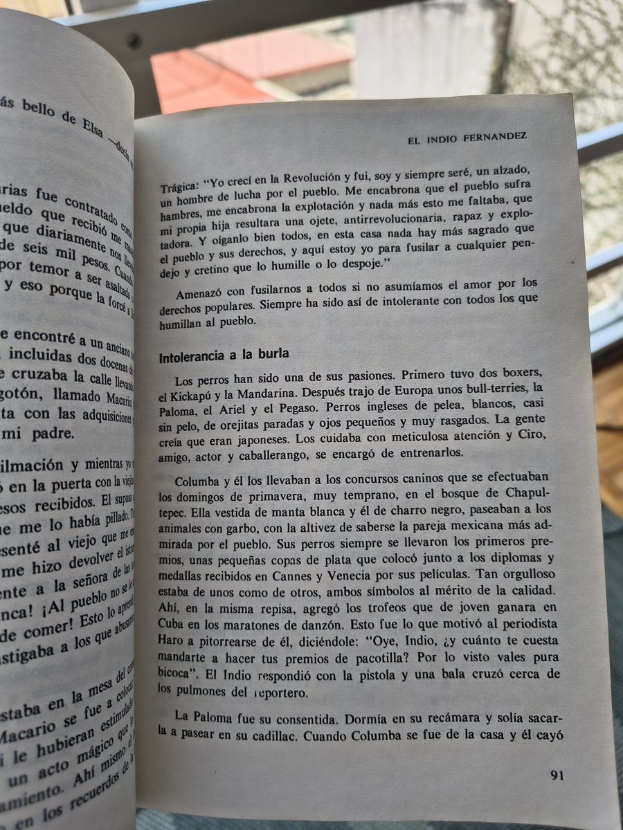 Rafael Paz tweet media