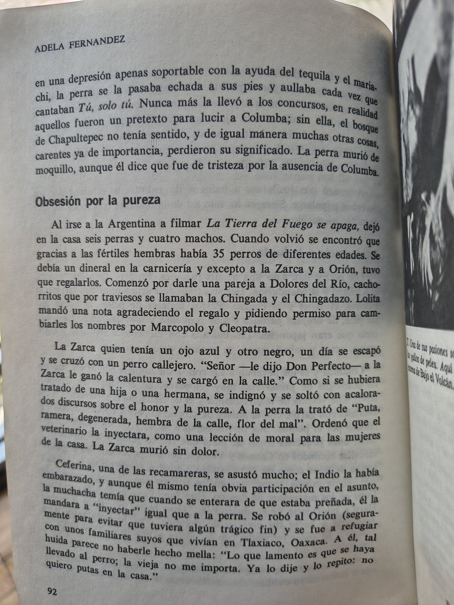 Rafael Paz tweet media