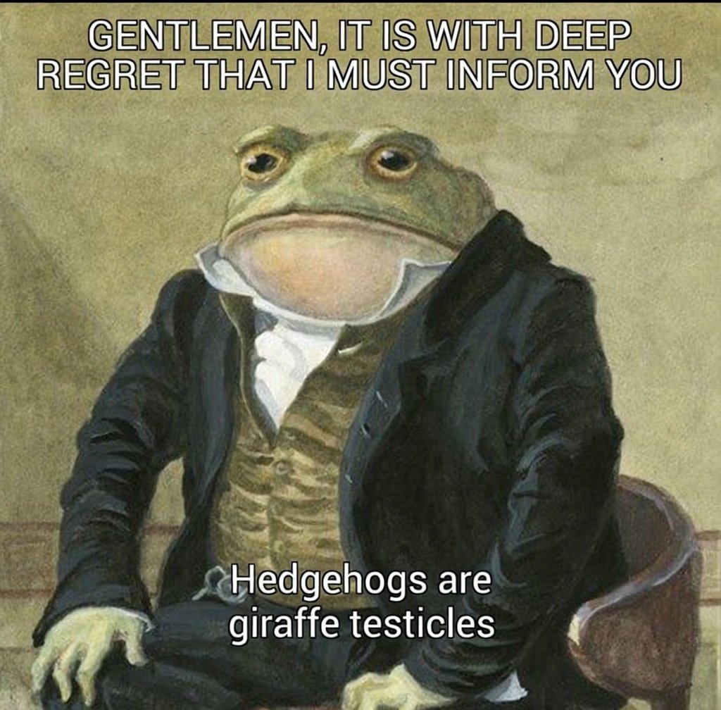 ClarkKentE29's tweet image. #HedgehogsOfTwitter #HedgehogsOfX: Am truth of #HappyHedgehog revealed