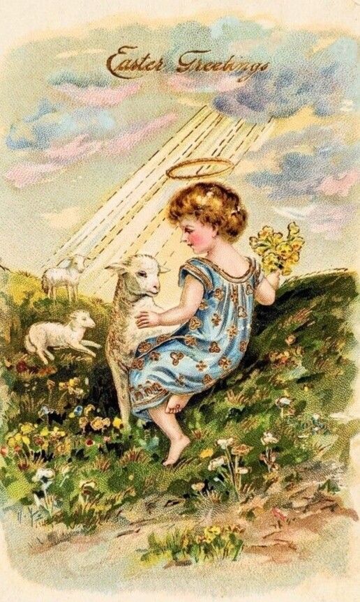 Rae ❤️‍🔥 tweet media