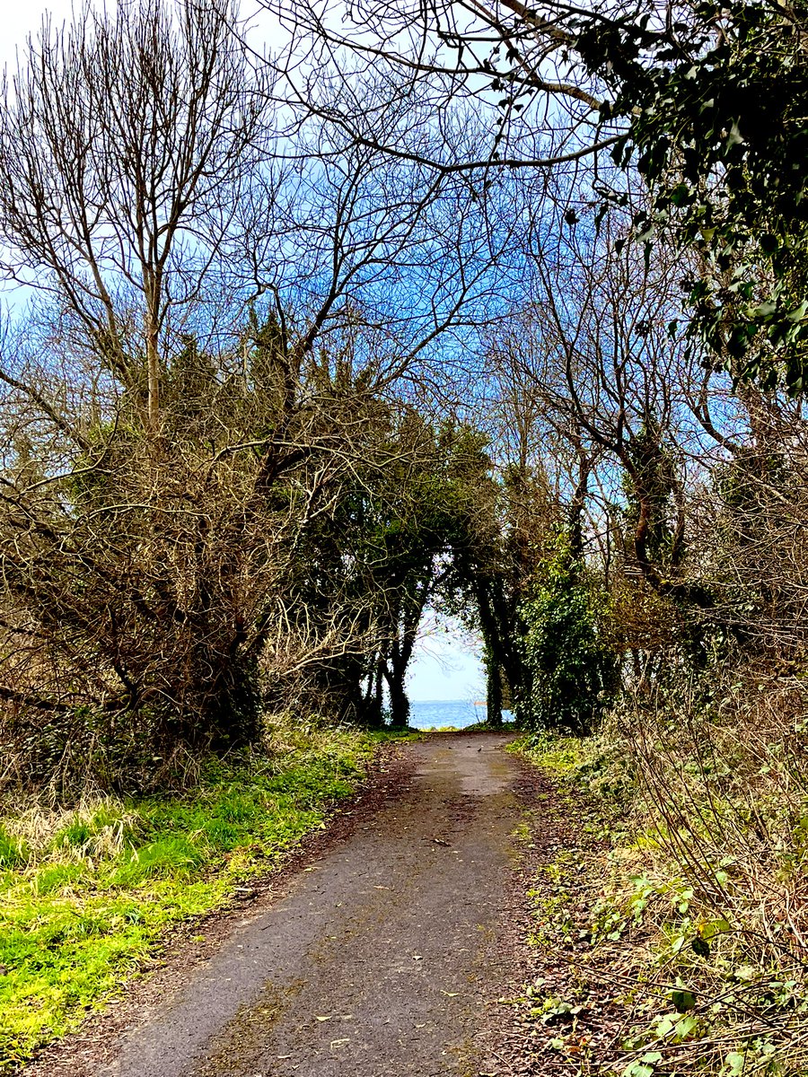 Sandra Macken tweet media